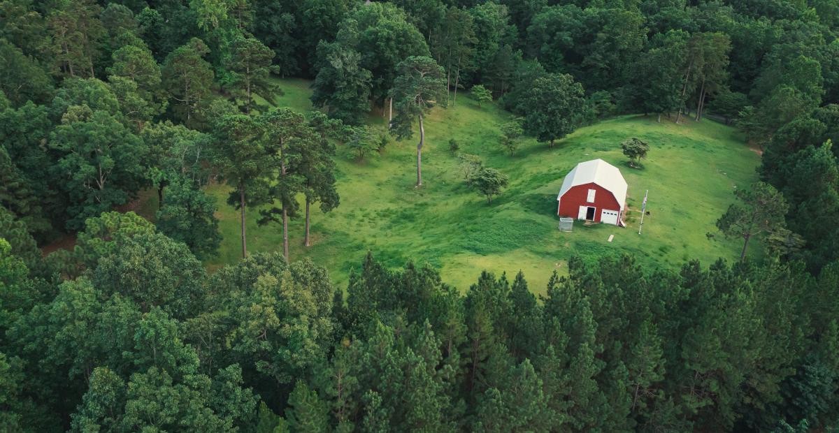 A farmhouse structure tucked into a wooded landscape